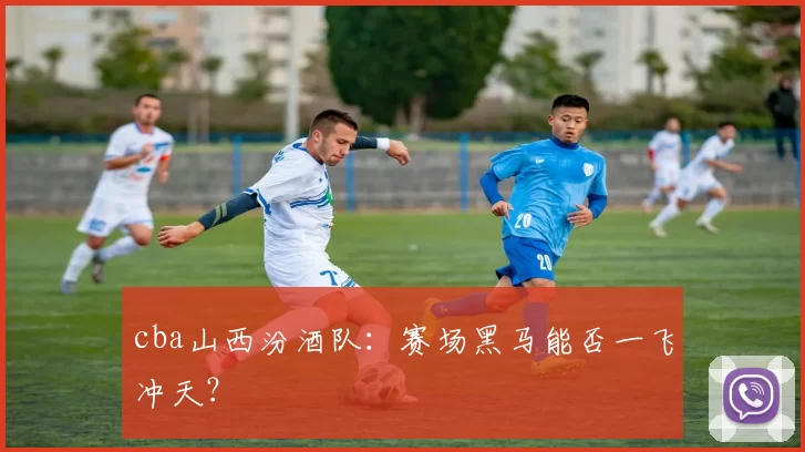 cba山西汾酒队：赛场黑马能否一飞冲天？