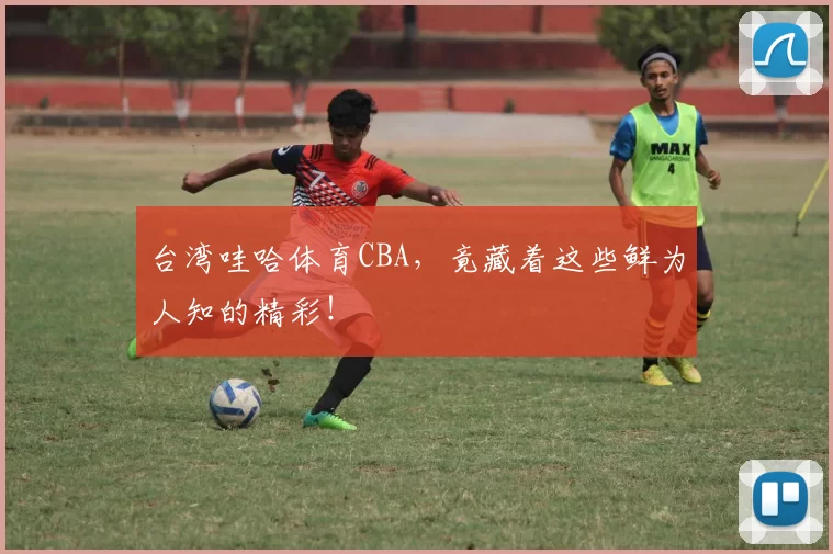 台湾哇哈体育CBA，竟藏着这些鲜为人知的精彩！